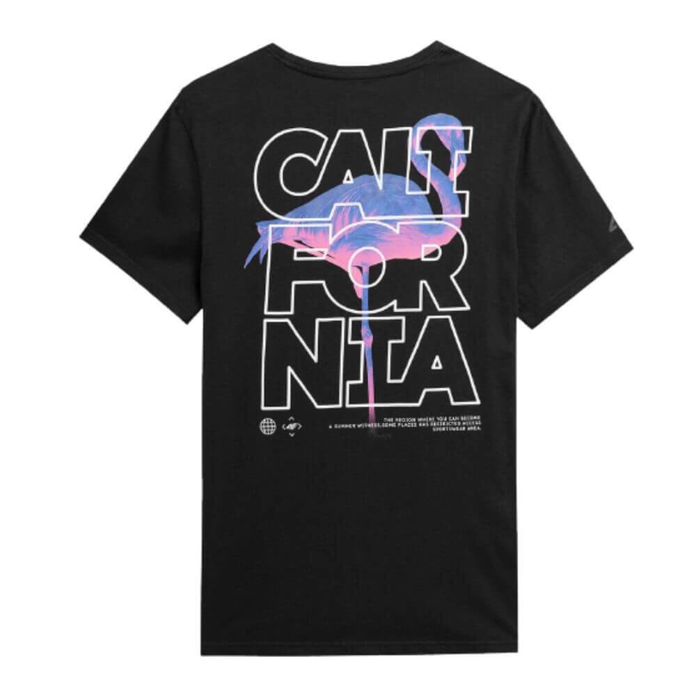 Camiseta Fitness Hombre Algodón 4F. Negro 2/2