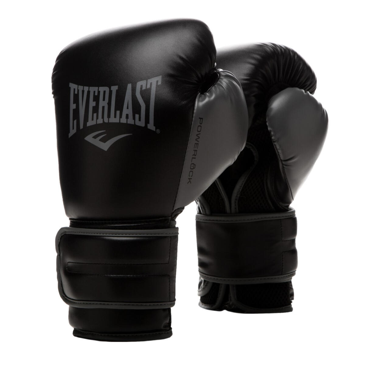 EVERLAST picture