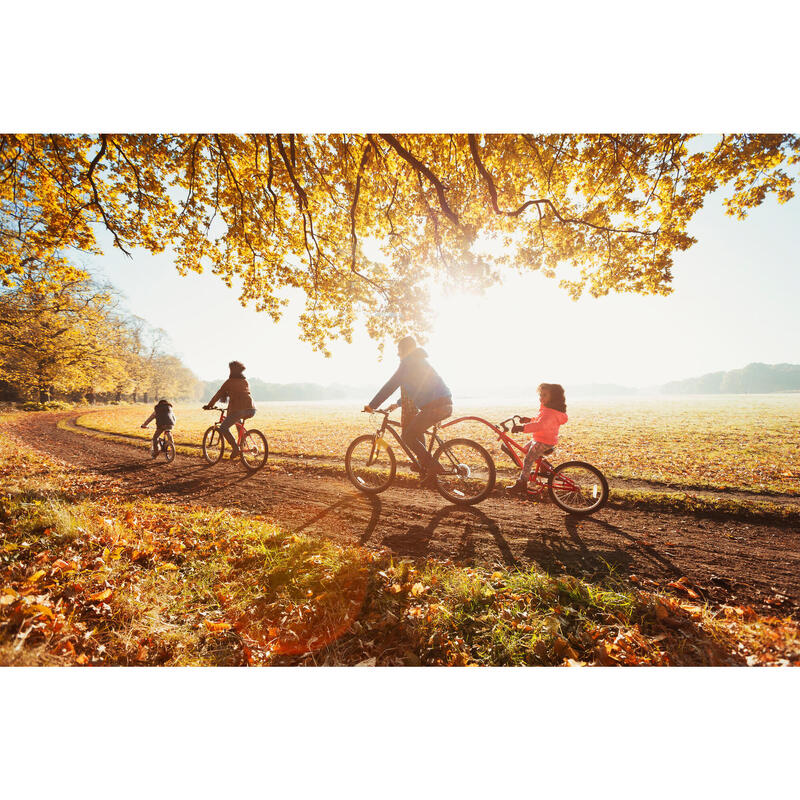 Fahrradanhänger Kinder Tandemanhänger Nachläufer Trailerbike 18 Zoll 5-10 Jahre