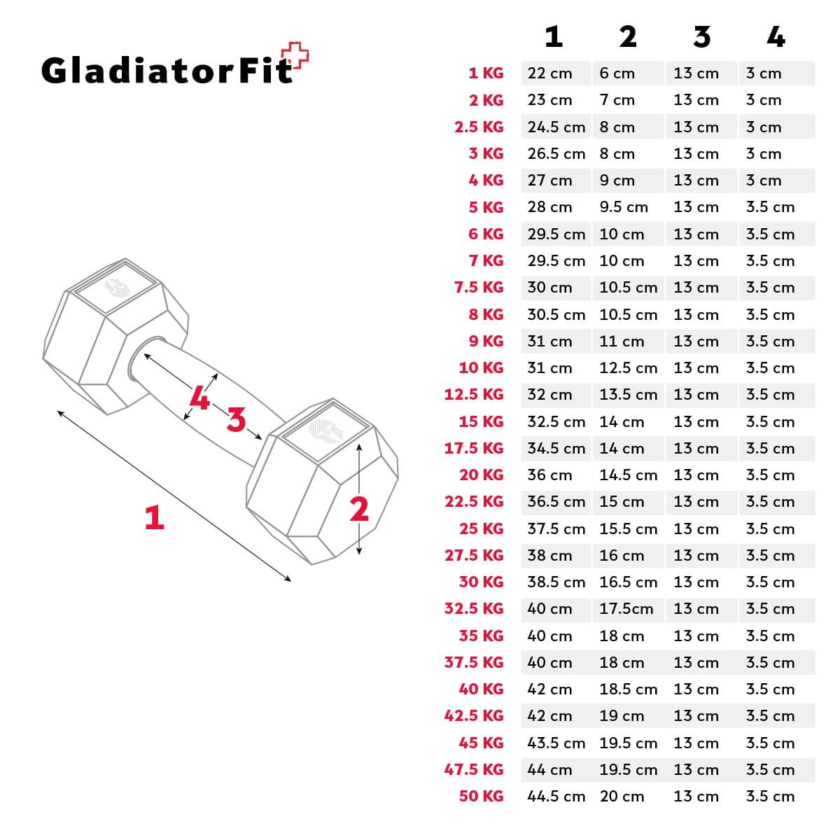 Hex Dumbbell in rubber GladiatorFit 4/5