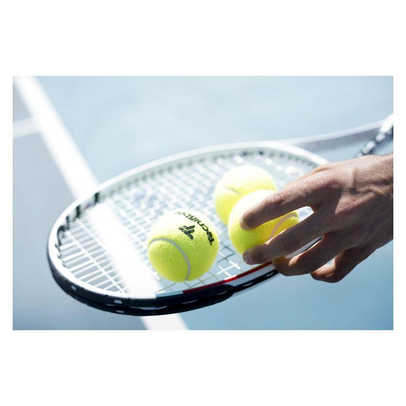 Piłki tenisowe Tecnifibre Club 4 szt. 3/3