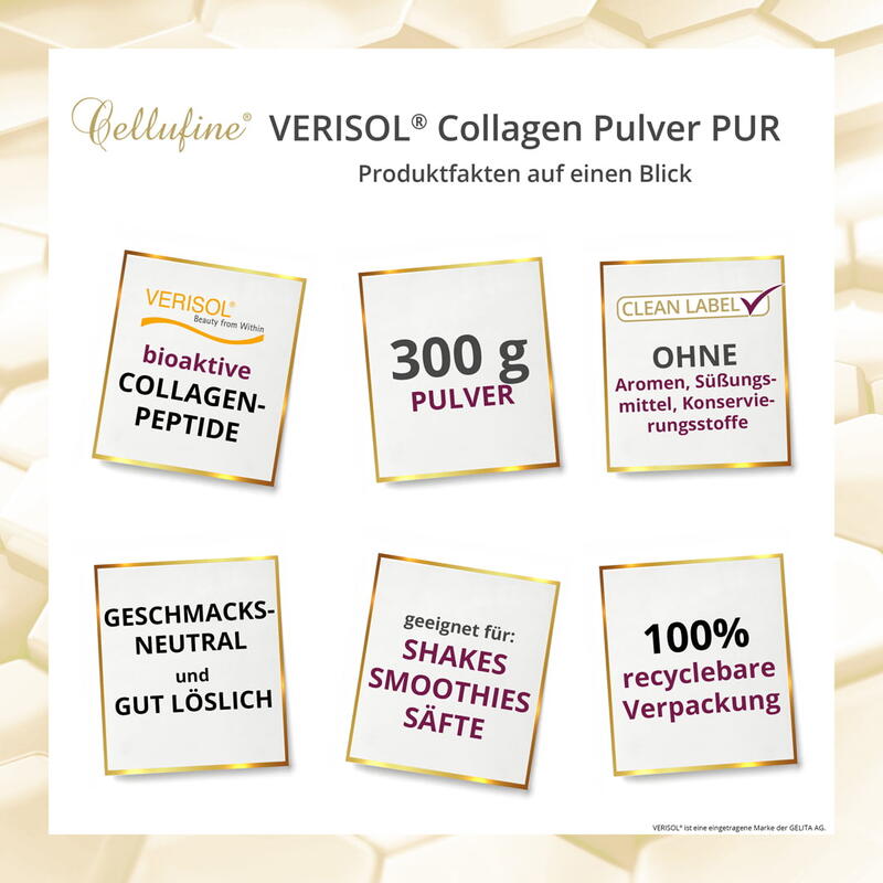 VERISOL® B (Rind) Collagen-Pulver PUR - 300 g Dose