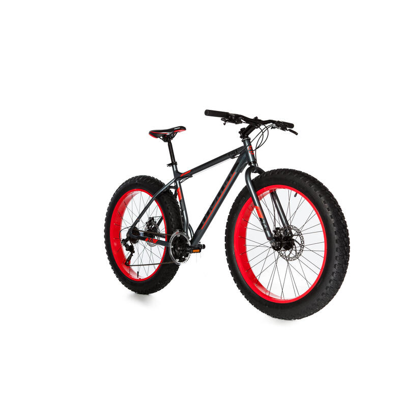 Bicicleta de BTT SHIMANO FAT 26 "Alu, 21V, Travão de Disco Duplo