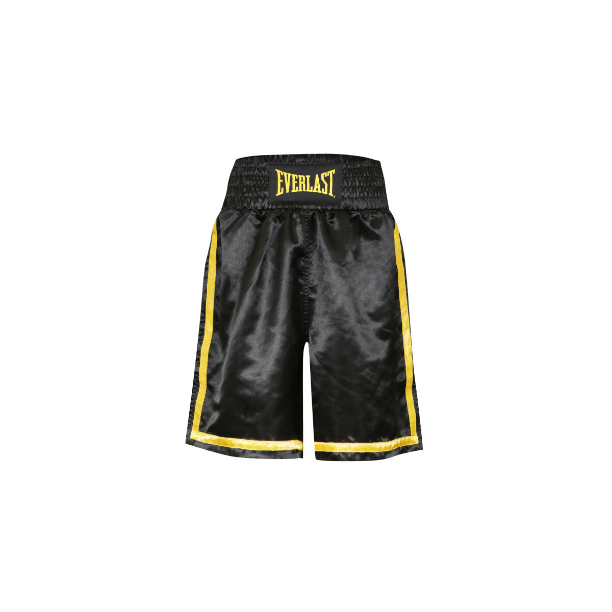 EVERLAST picture