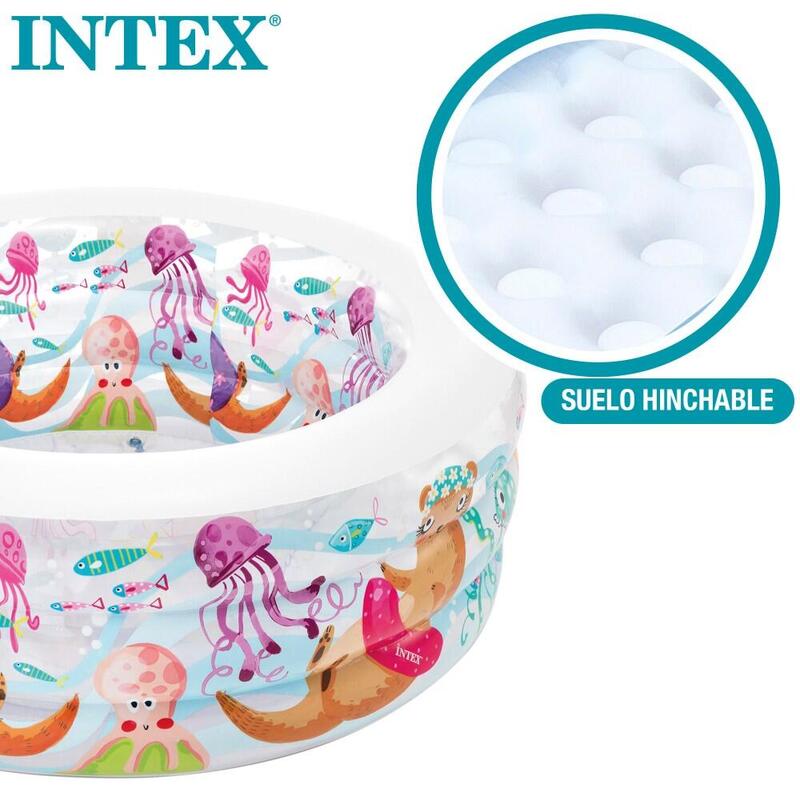 Piscina insuflável Intex aquário 152x56 cm - 318 l