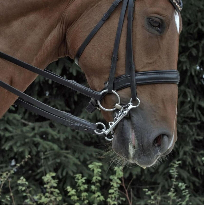 Mors de filete para caballo de simples fracturas Sprenger NovoContact 4/4