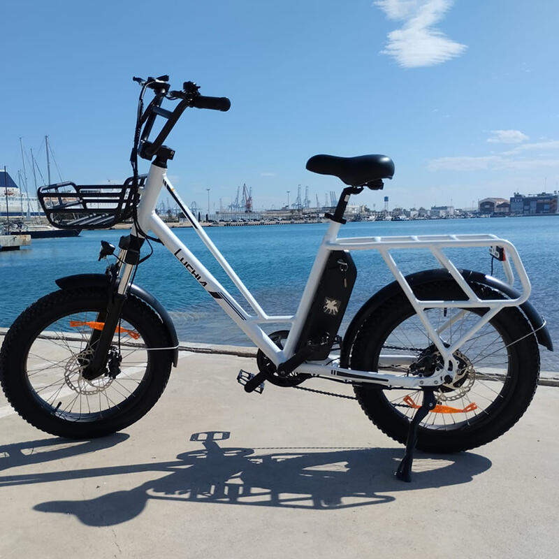 Bicicleta elétrica Taurus 250W 36V 10Ah (360Wh) - roda 20" x 3"