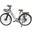 Bicicleta de passeio elétrica Antares 250W 36V 10Ah (360Wh) - roda 29"