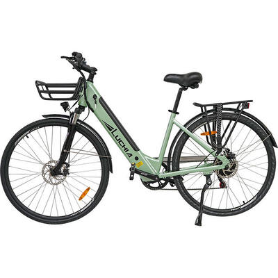 Elektrische stadsfiets arturo 250w 36v 10ah (360wh) - 29" wiel