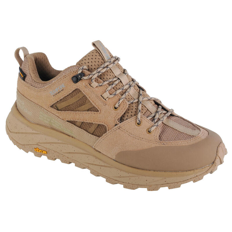 Botas de trekking Jack Wolfskin Terraquest Texapore Low para homem