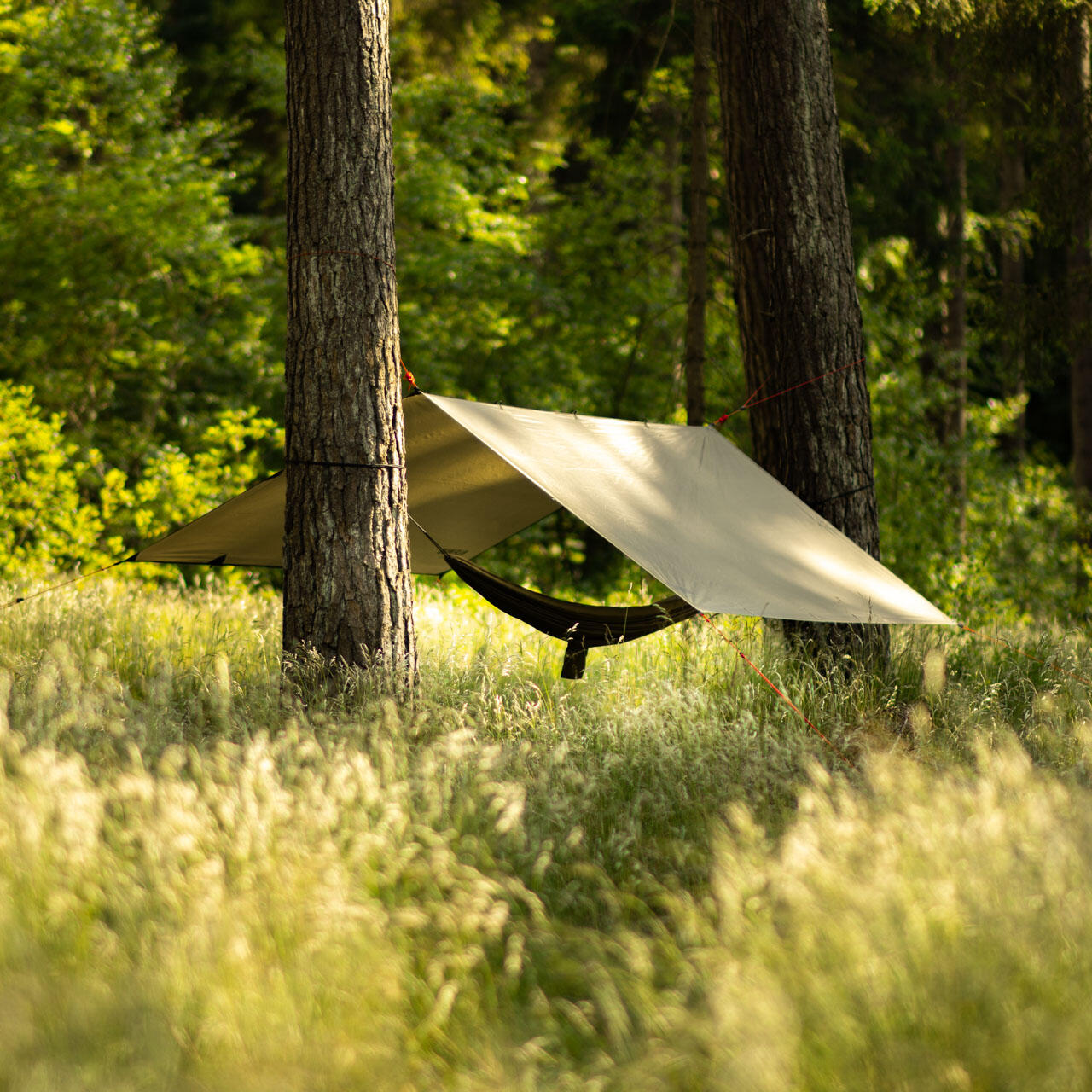 Tarp de camping Alpinus Zagros 2,9x2,9m 2/7