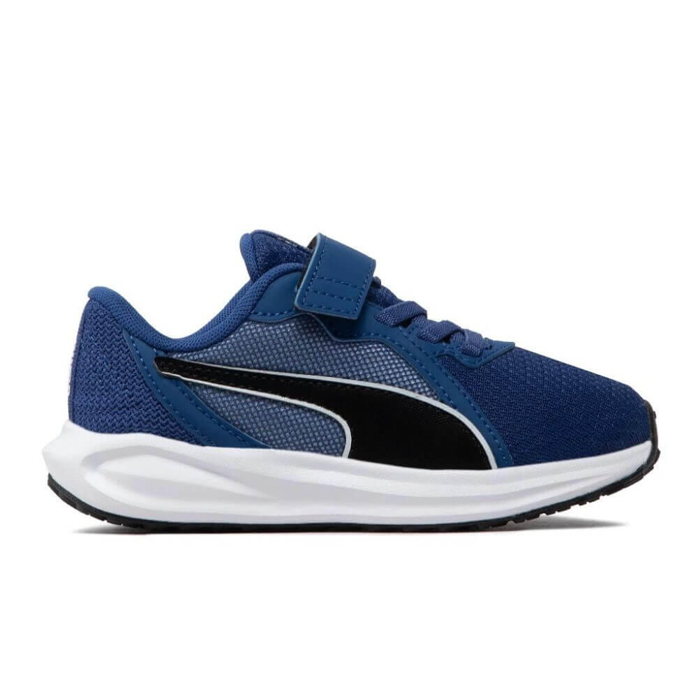 PUMA picture