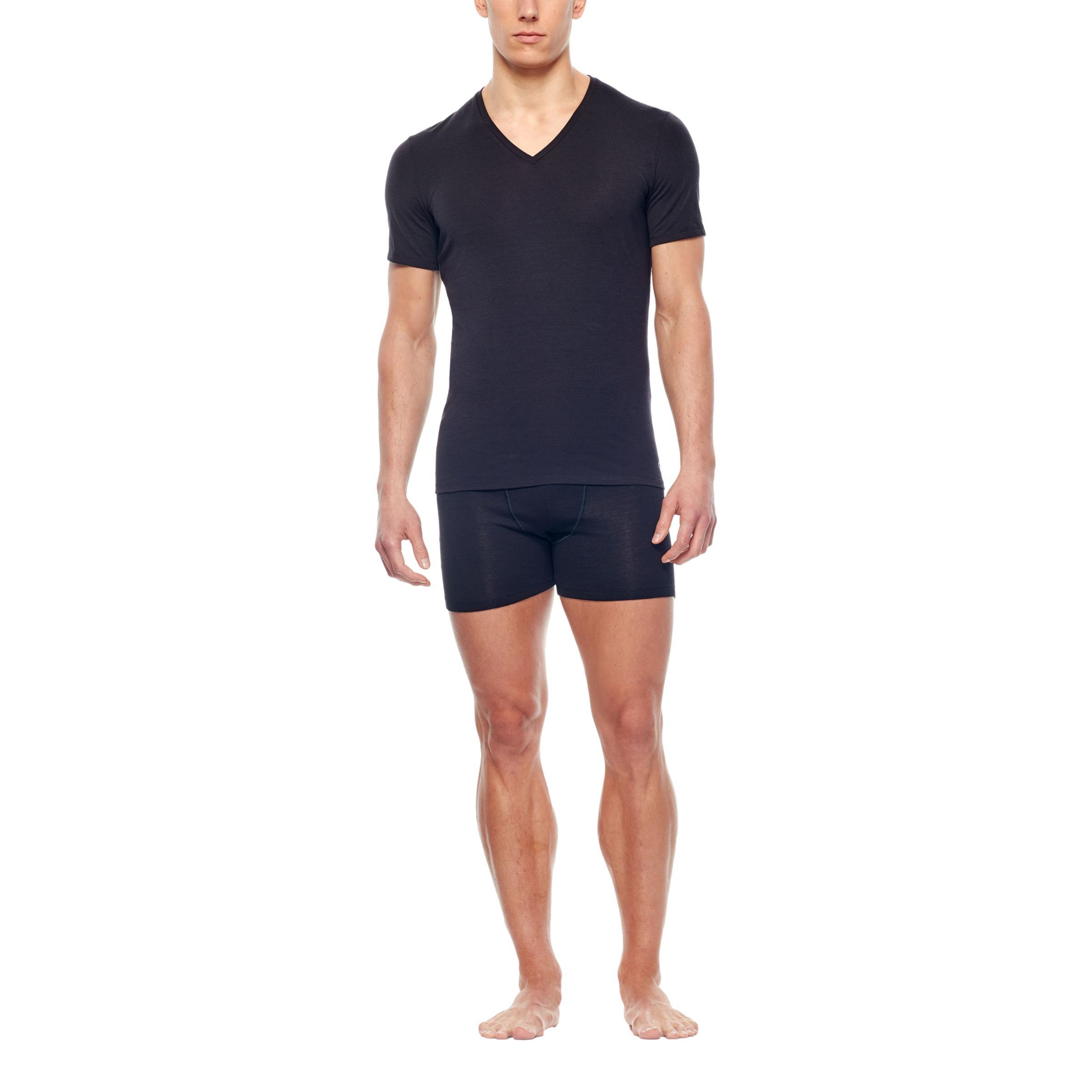 Koszulka Turystyczna Męska Icebreaker Anatomica SS V T-Shirt 3/5