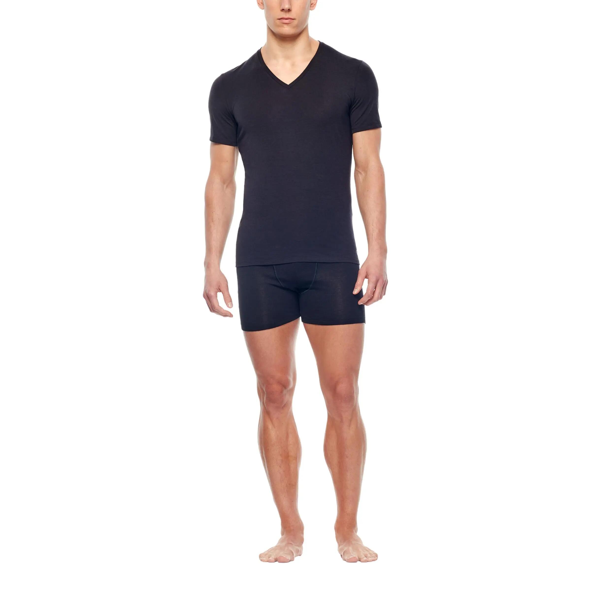 Koszulka Turystyczna Męska Icebreaker Anatomica SS V T-Shirt 3/5