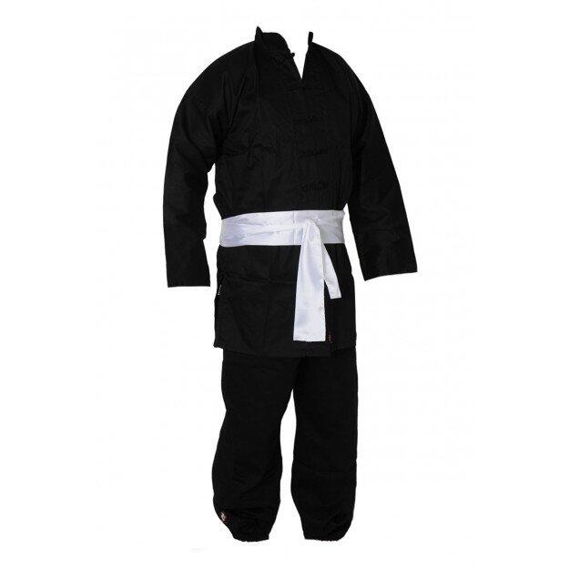 BUDO-FIGHT picture