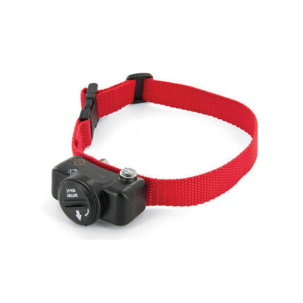 PETSAFE CLOTURE CHIEN - COLLIER SUP LUXE