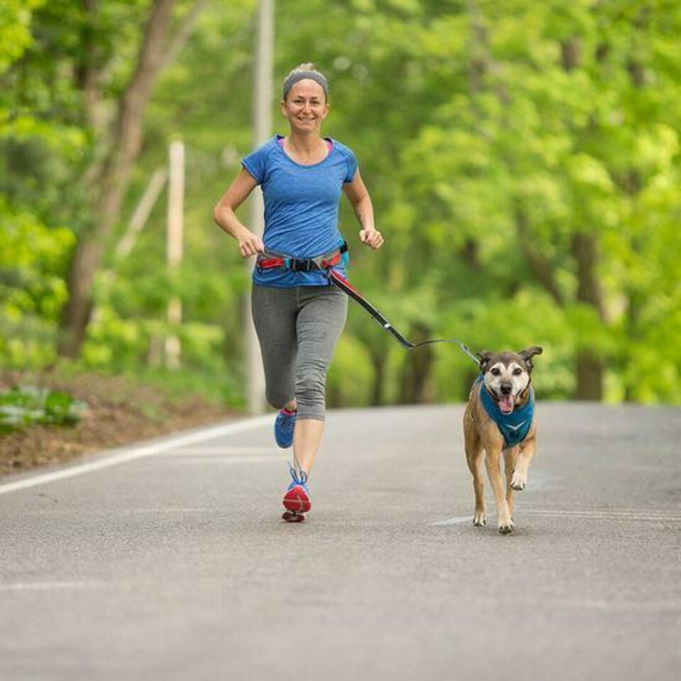 Ceinture pour courir discount avec son chien decathlon