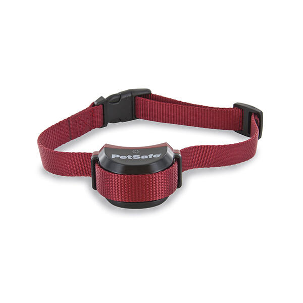 COLLIER SUP. CHIEN TETUS POUR STAY&PLAY