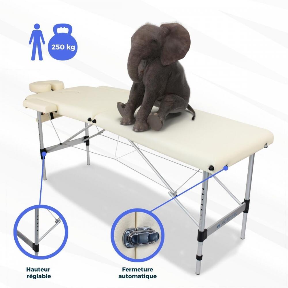Table De Massage Pliante Professionnelle 2 Zones - Cadre Aluminium - 213 X 82 Cm - Neuf
