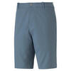 Shorts Puma Dealer 10"