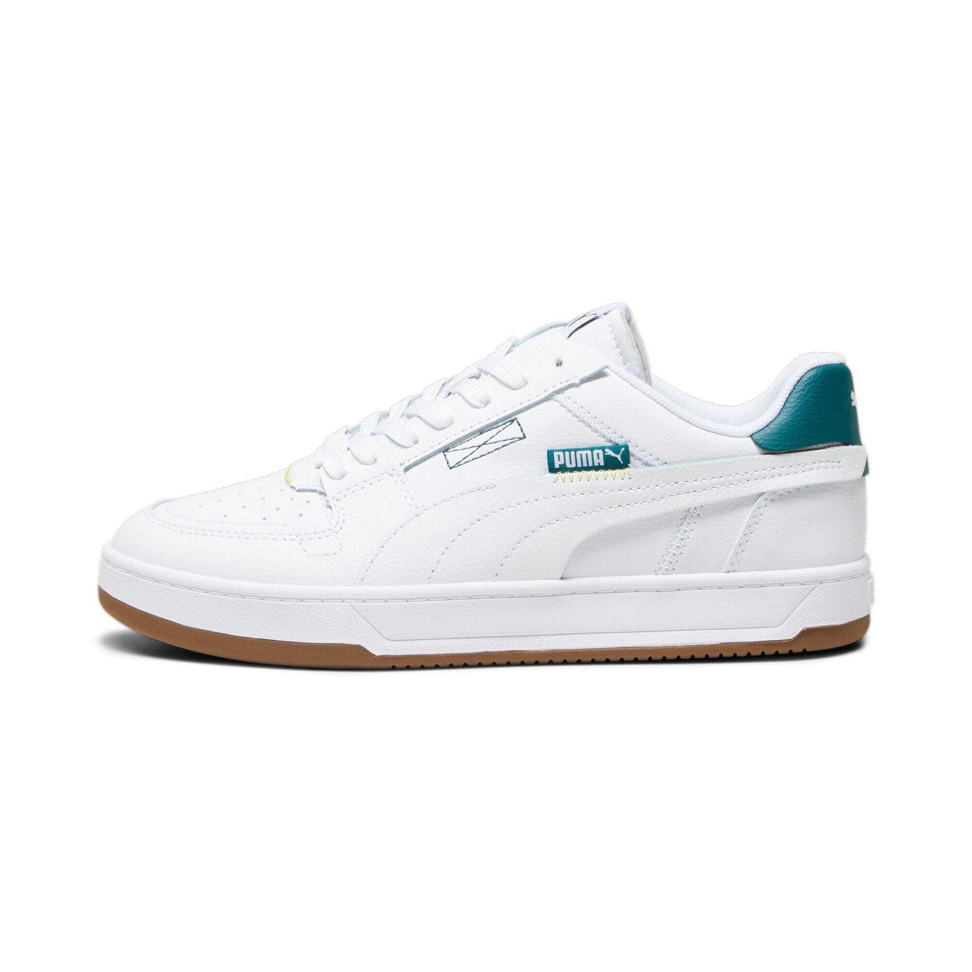 PUMA picture