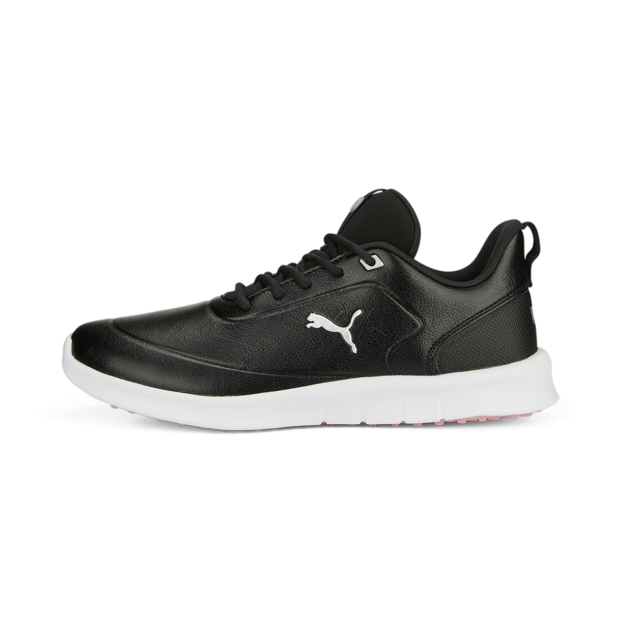 PUMA picture