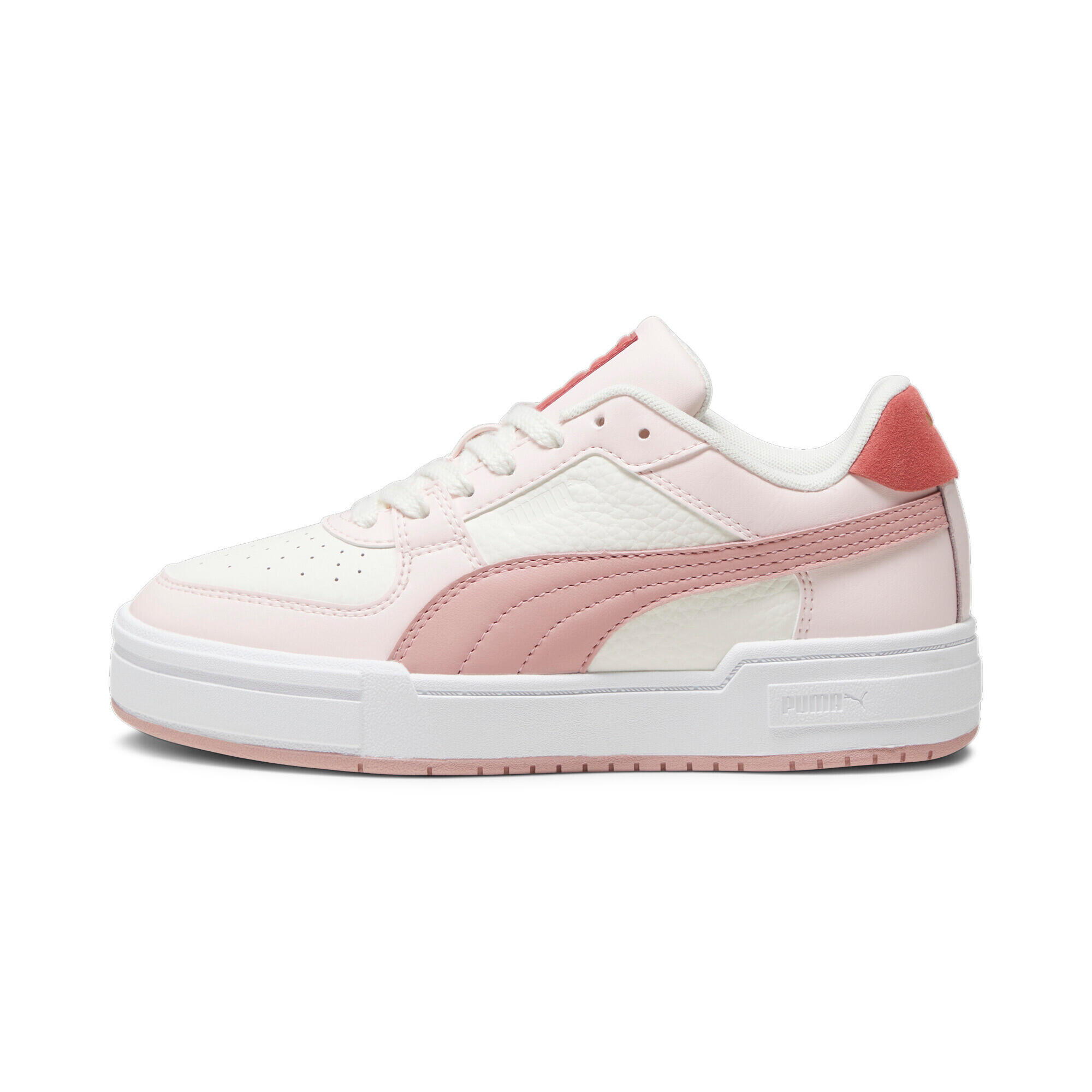 PUMA picture
