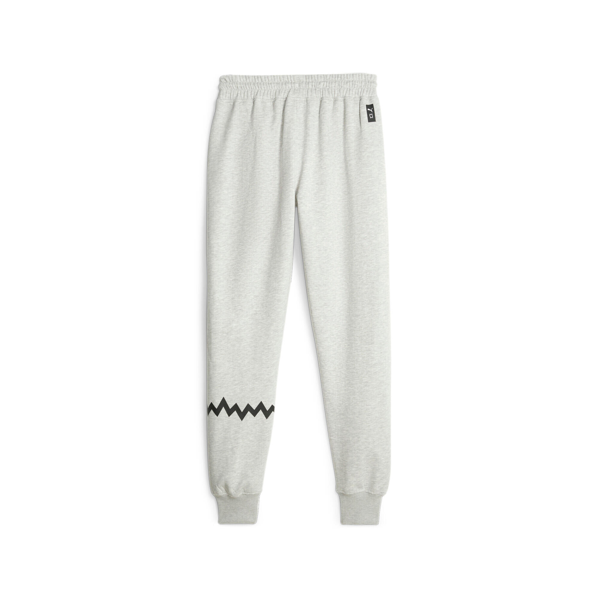 Pantalon de jogging Puma Hoops Team 2/7
