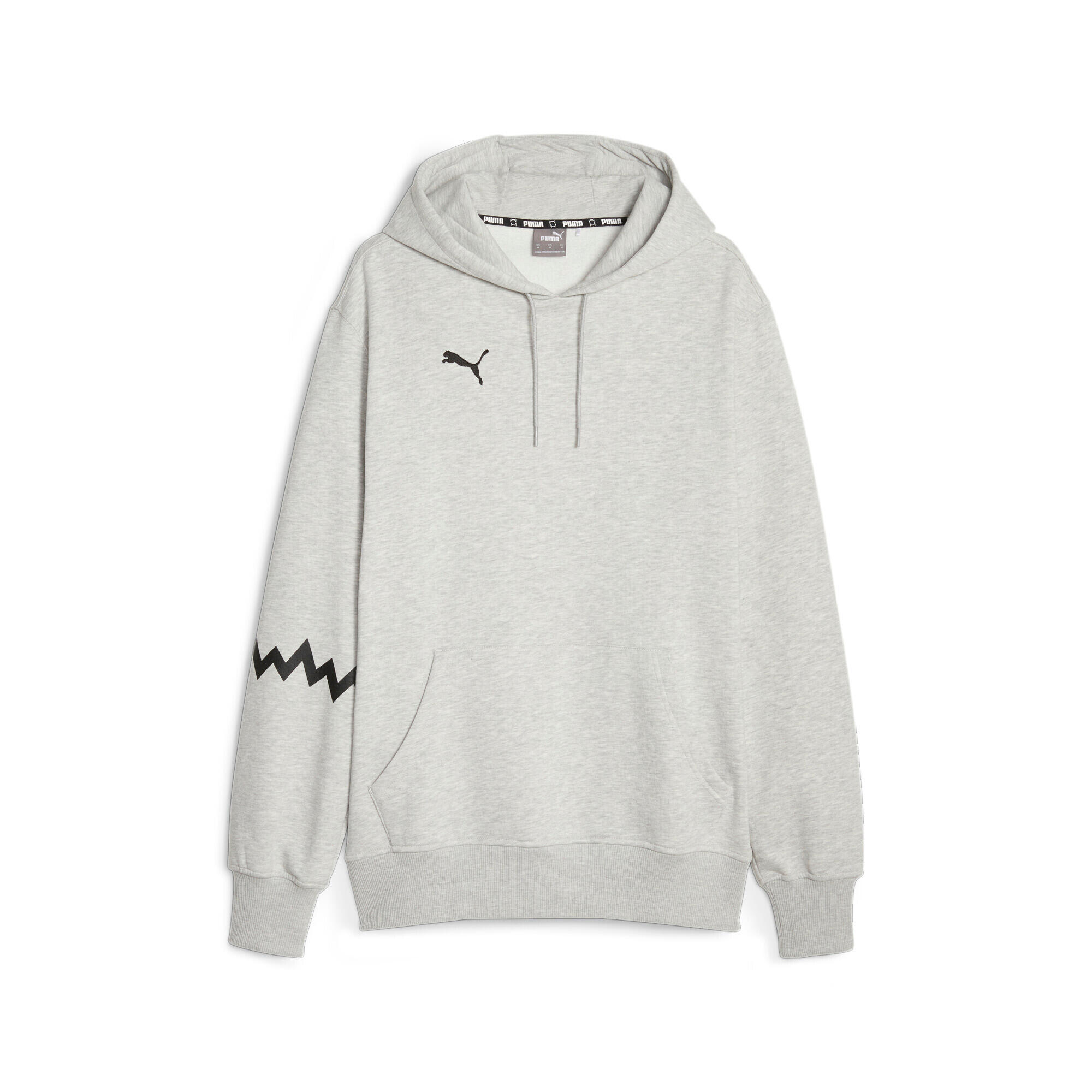 PUMA picture