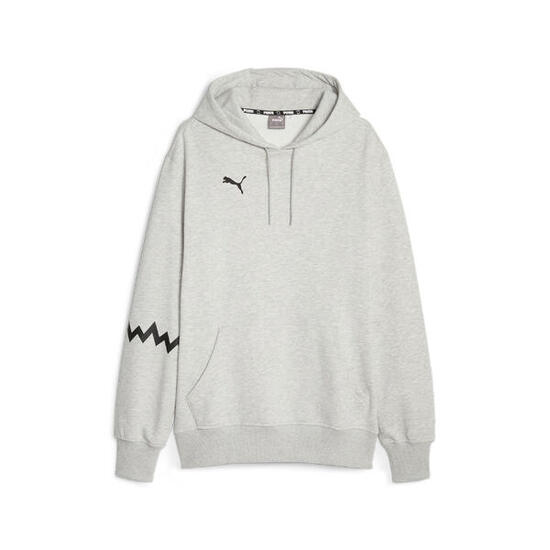 Sweatshirt à capuche Puma Hoops Team