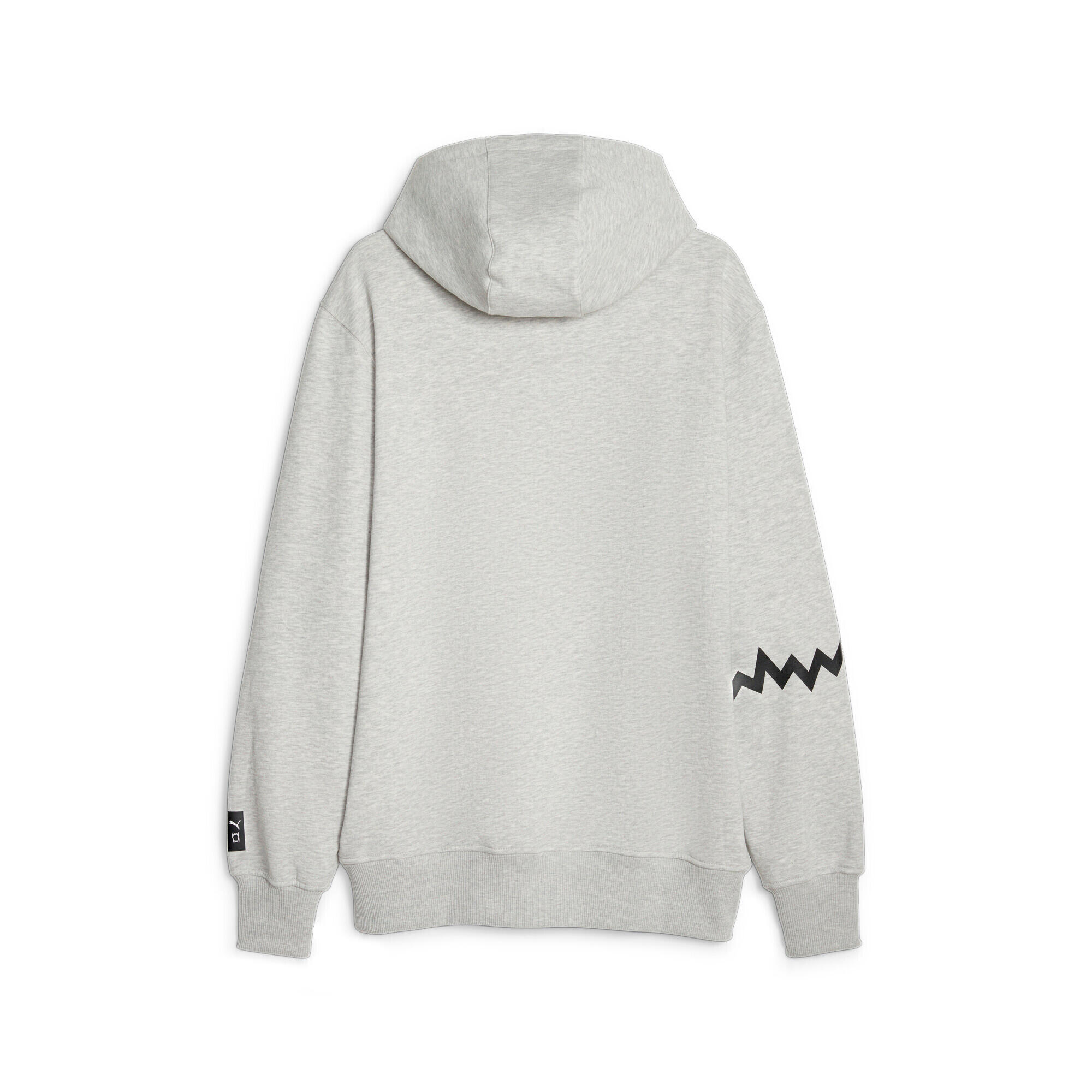 Sweatshirt à capuche Puma Hoops Team 2/7