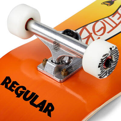 Compleet skateboard om aan de slag te gaan Push Regular  8.0”