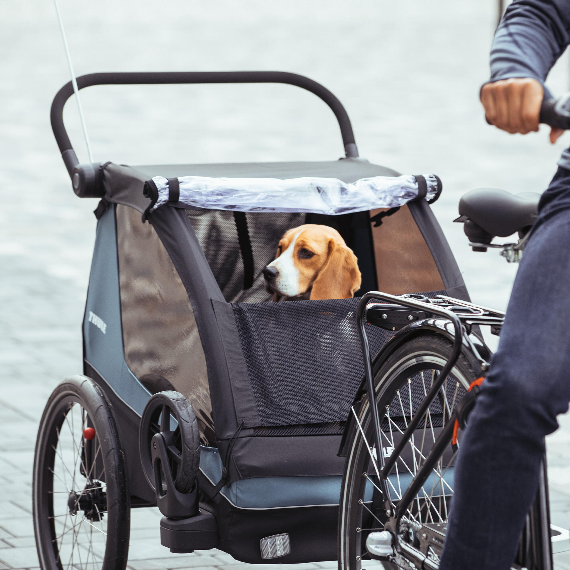 Fietstraileraccessoire Thule Courier dog trailer kit 4/5
