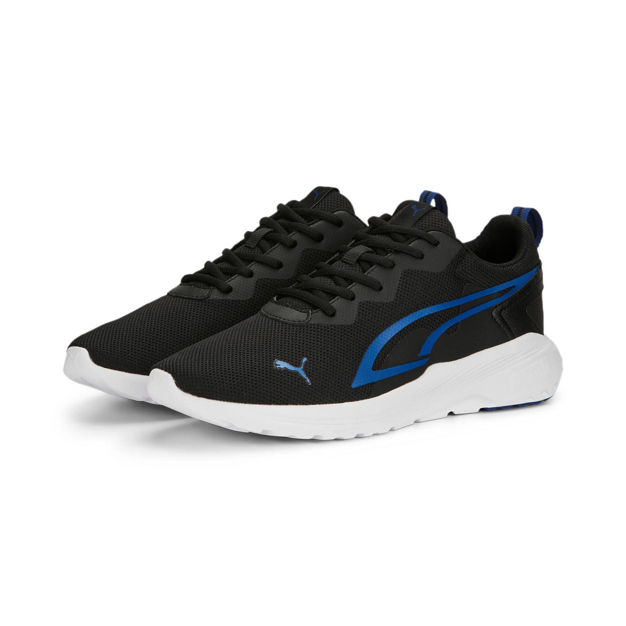 PUMA picture