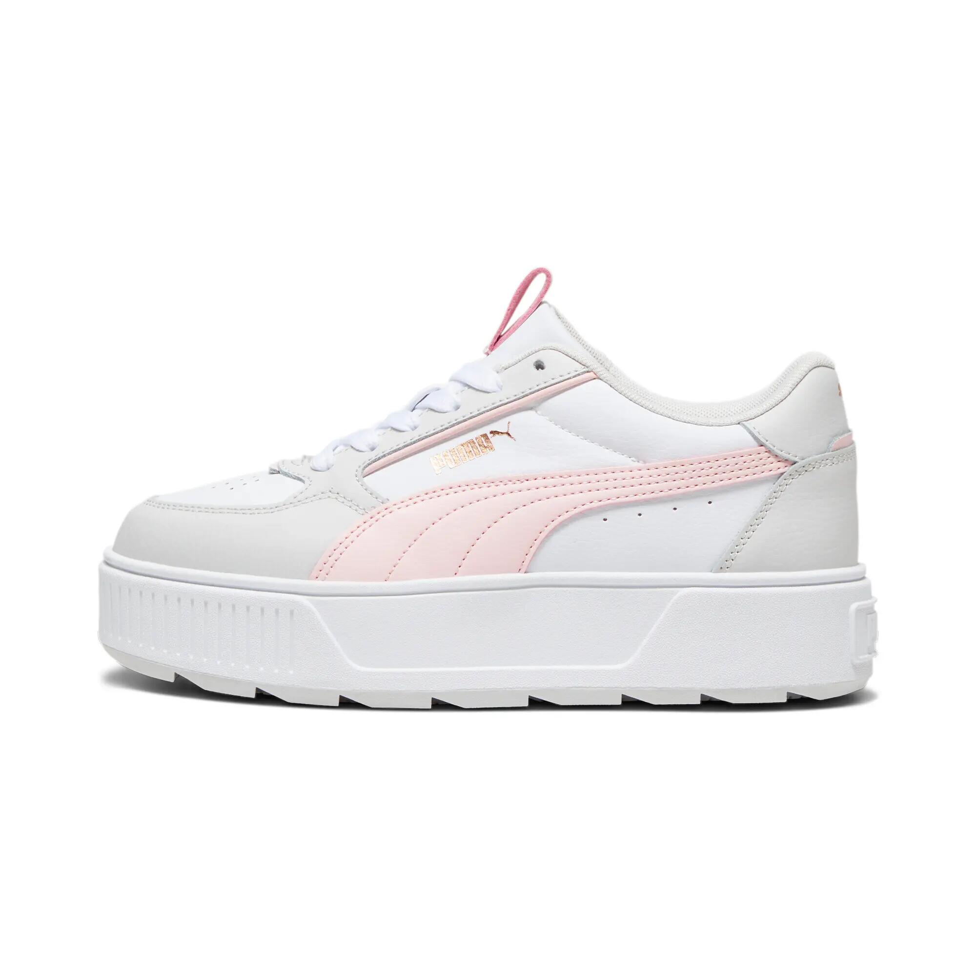 PUMA picture