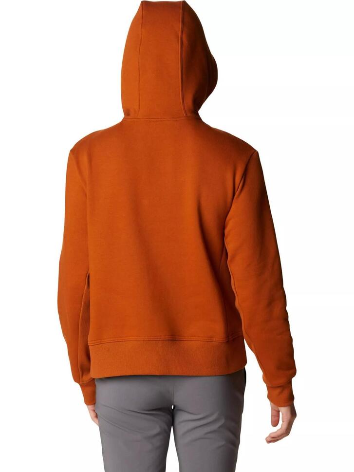 Bluza turystyczna damska Columbia Lodge Hoodie z kapturem