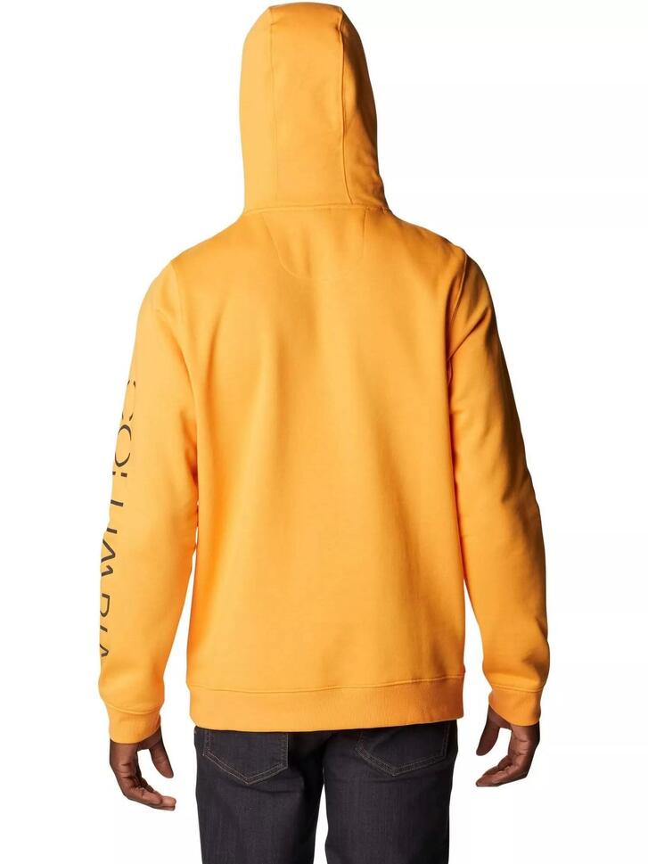 Bluza turystyczna męska Columbia Csc Basic Logo II Hoodie z kapturem