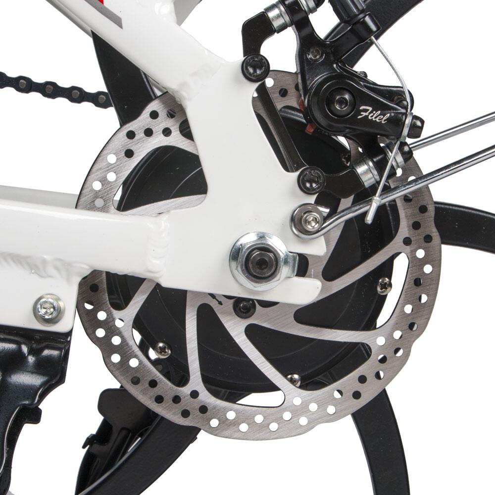 Elektrische Klappfahrrad  20LVXD30II 48V-10.4Ah (499Wh) - rad 20" 6/7