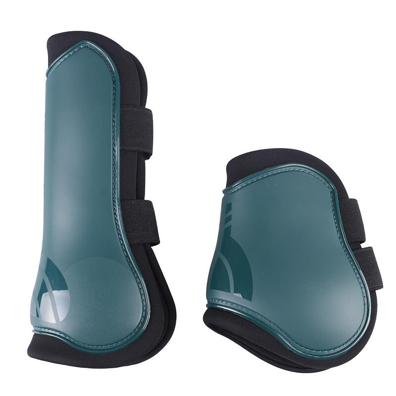 Ensemble guêtres et protège boulets pour cheval QHP 2/4