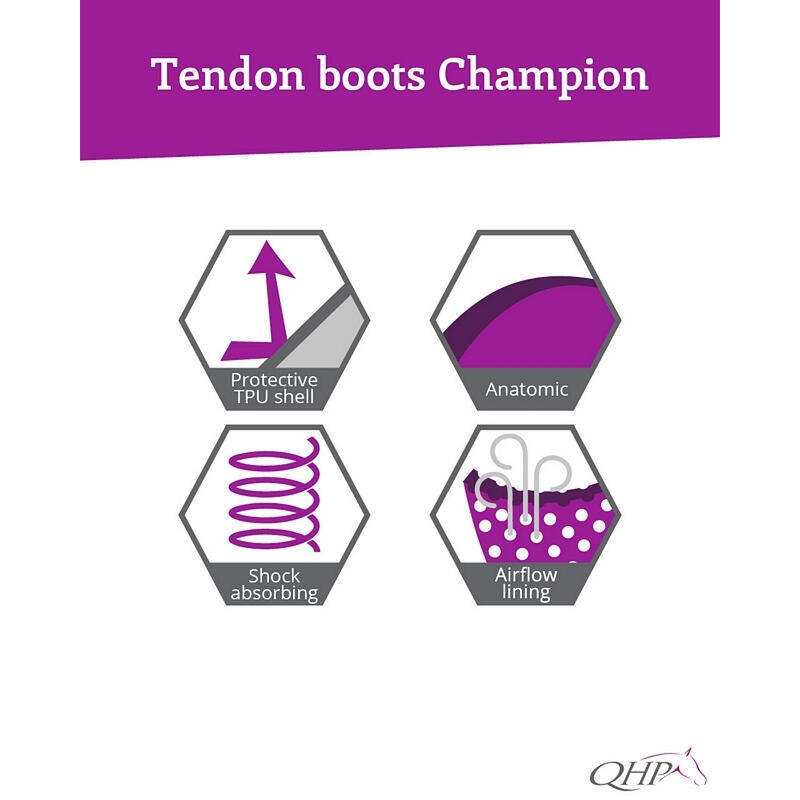 Protège-tendons QHP champion