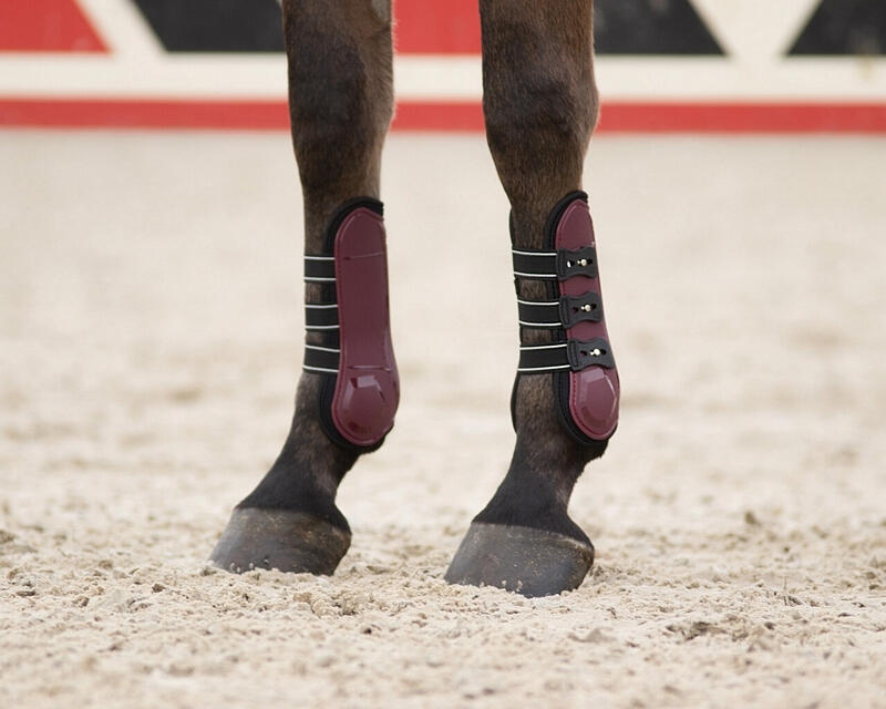 QHP Peesbeschermers Champion 4/4