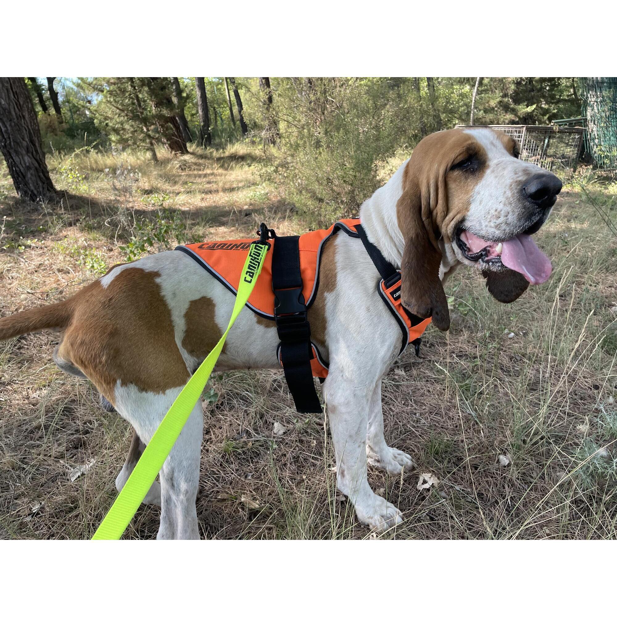 Harnais pour chien de chasse SIGNAL CANIHUNT 6/8
