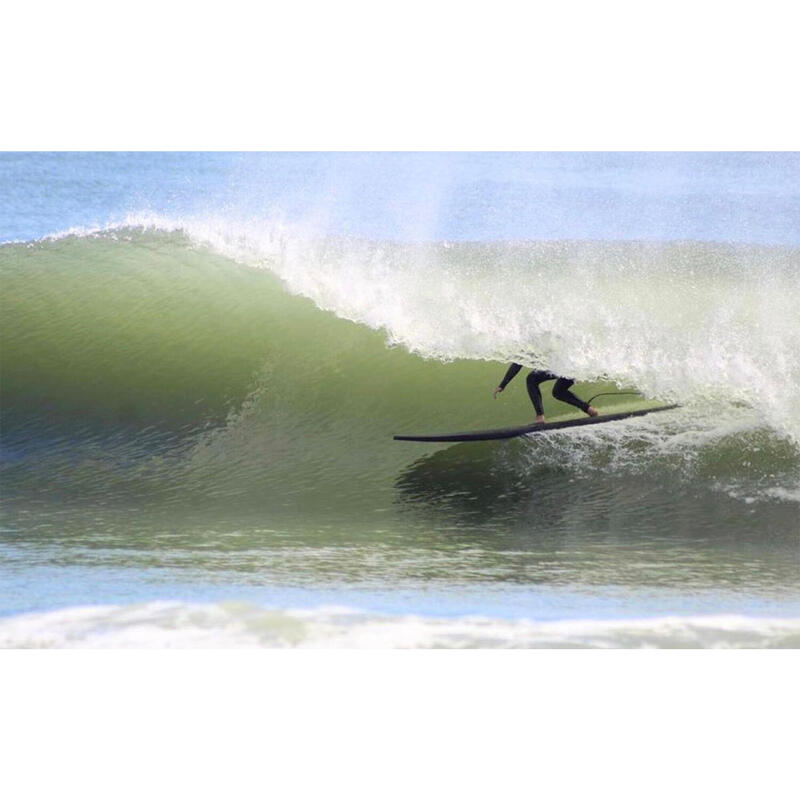 Catchsurf Blank 8.0 Log Softboard (black)