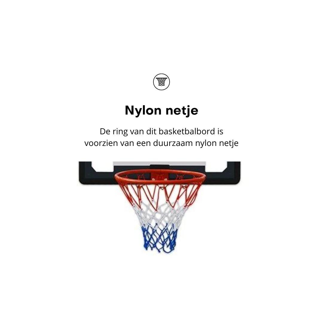 Pegasi Basketballbrett Fun 82x58cm 6/6