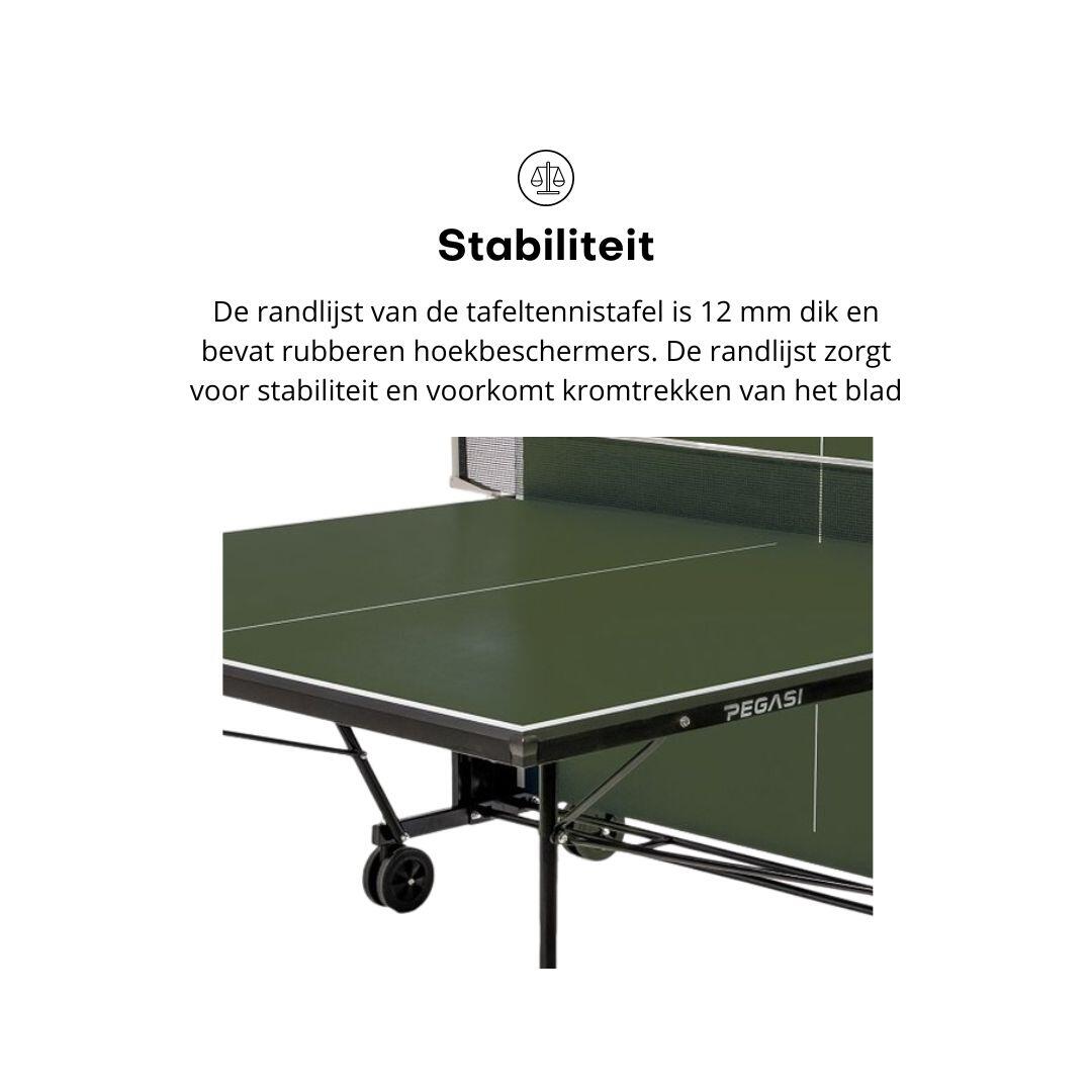 Table de tennis de table pegasi 500 vert intérieur 6/6
