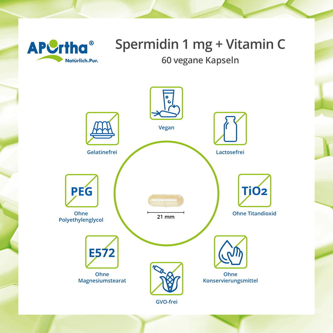 Spermidin 1 mg + Vitamin C - 60 vegane Kapseln 3/5