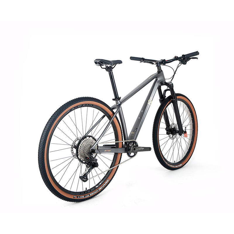 BICICLETA DE MONTAÑA RÍGIDA DE CARBONO ICe MT10 GRIS