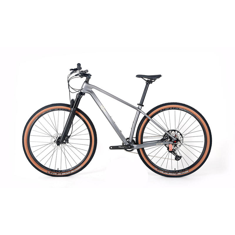 BICICLETA DE MONTAÑA RÍGIDA DE CARBONO ICe MT10 GRIS