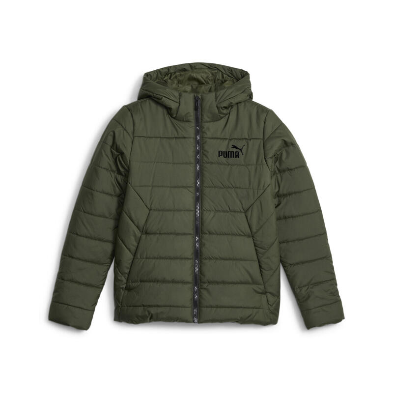 Giacca imbottita Essentials da ragazzo PUMA Myrtle Green