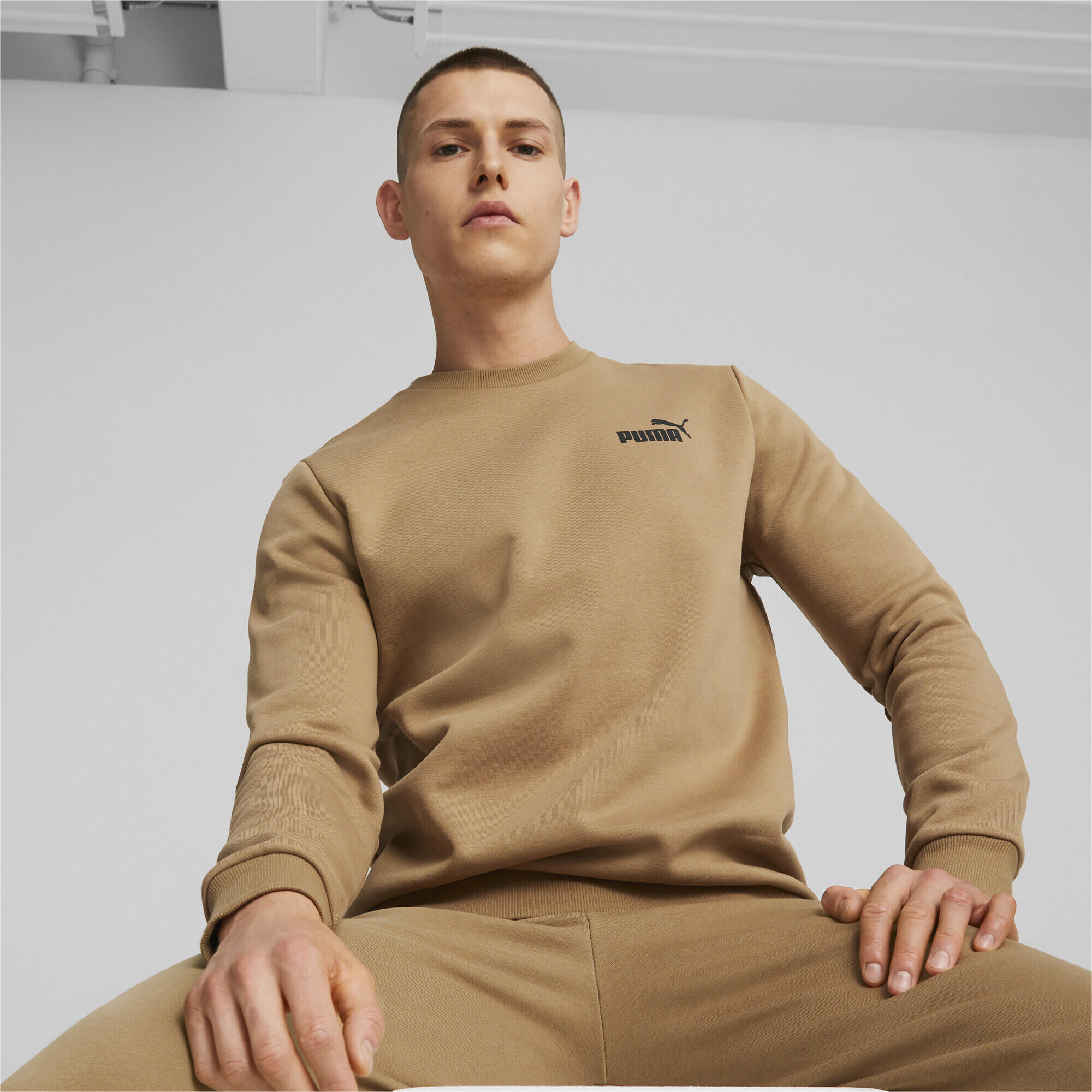 Sweat à col rond Essentials Small Logo Homme PUMA Toasted Beige 2/6